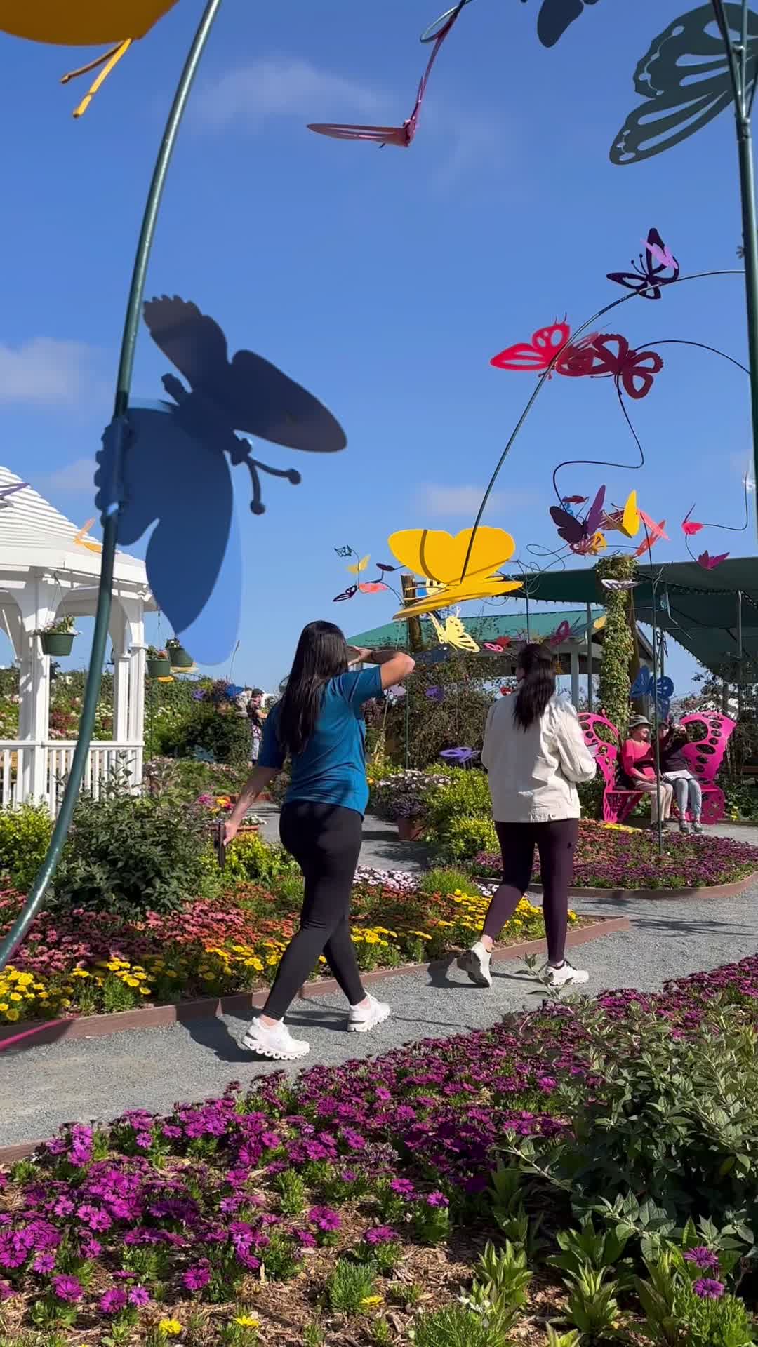 Video review of Strawberry Shack