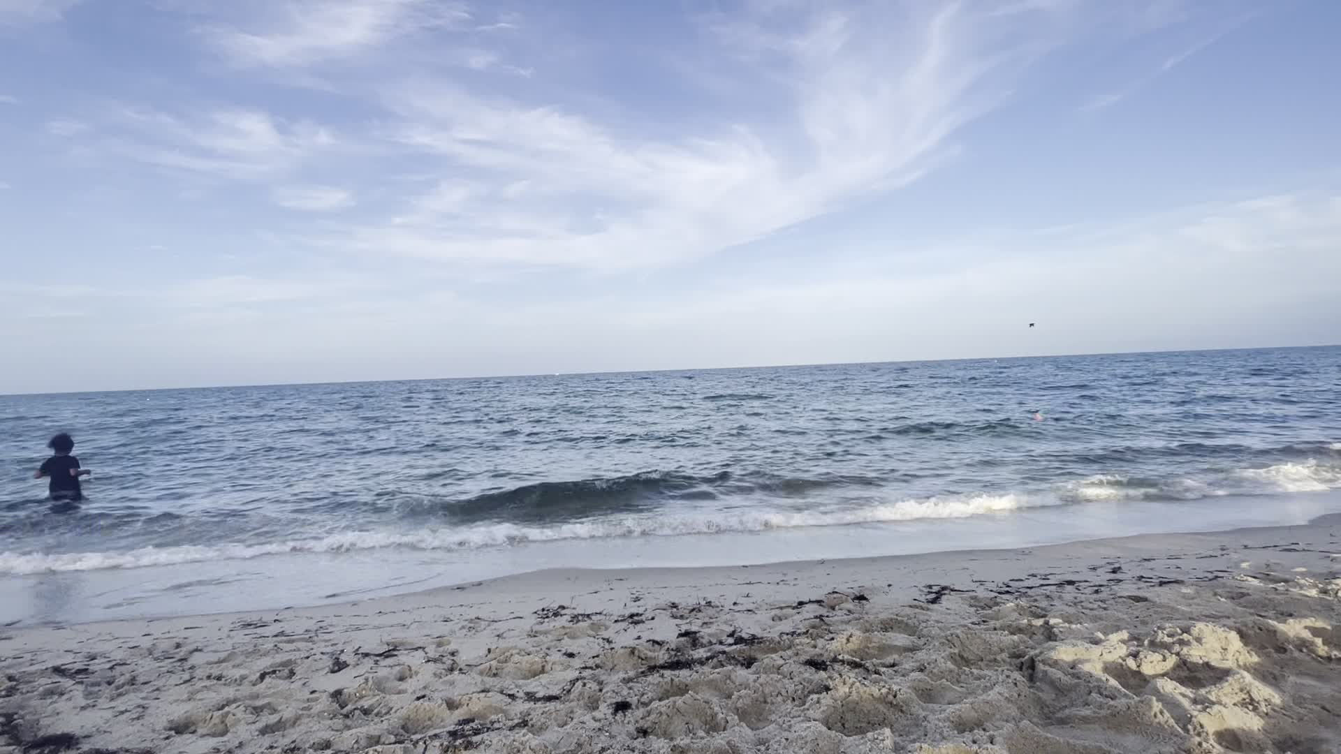 Hollywood Beach