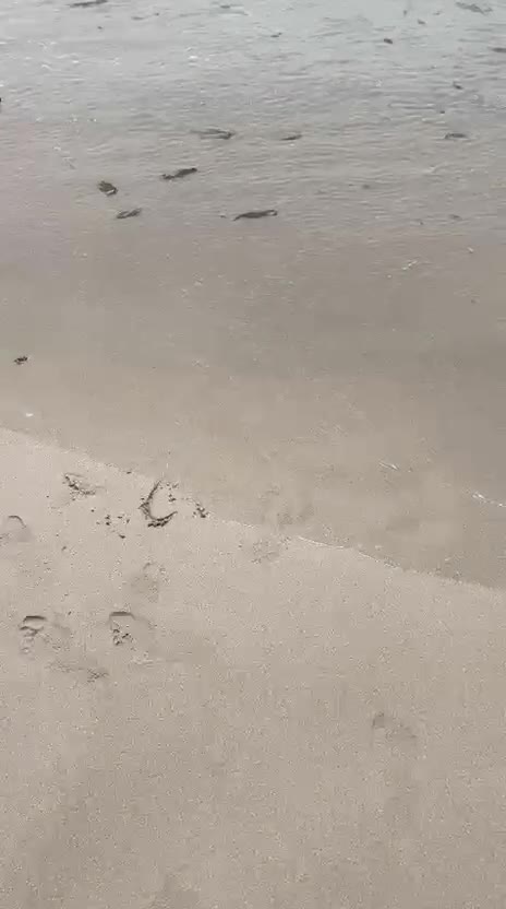 Llandudno