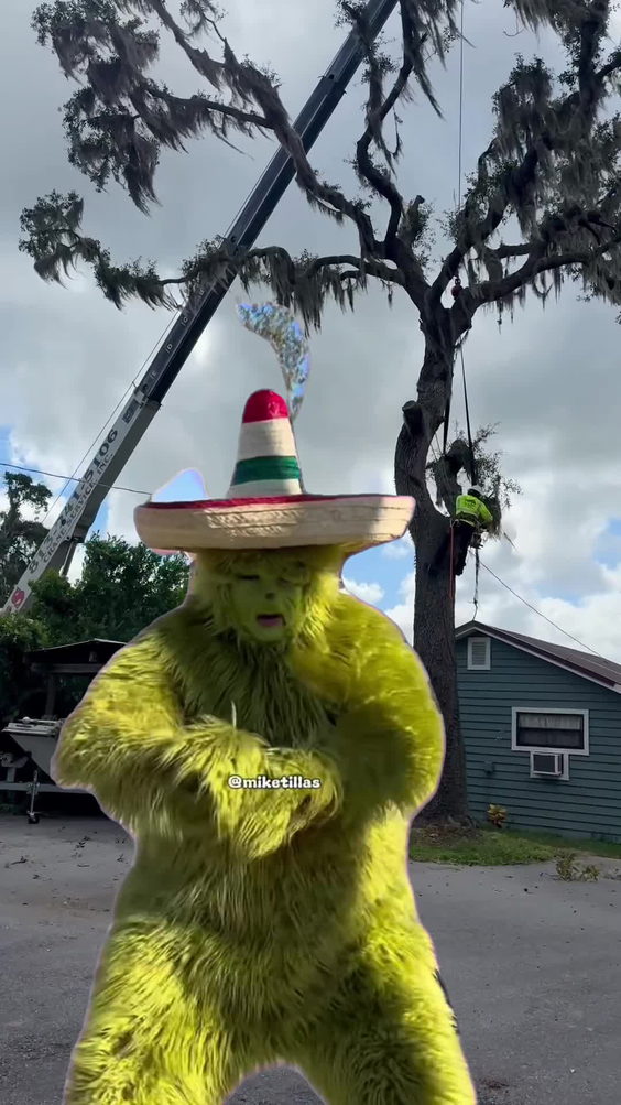 All Your Way Lawn, Tree, and Property Maintenance