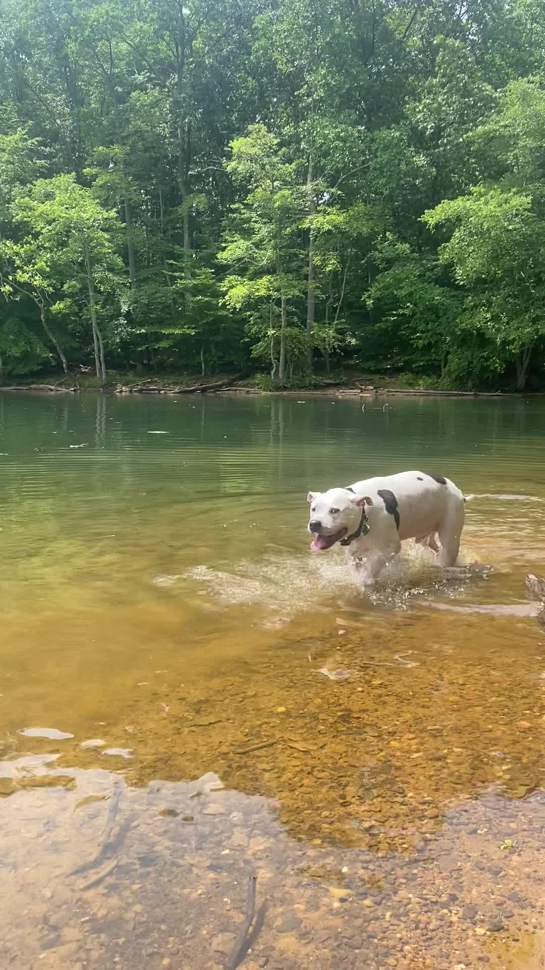 Video review of Loch Raven Reservoir