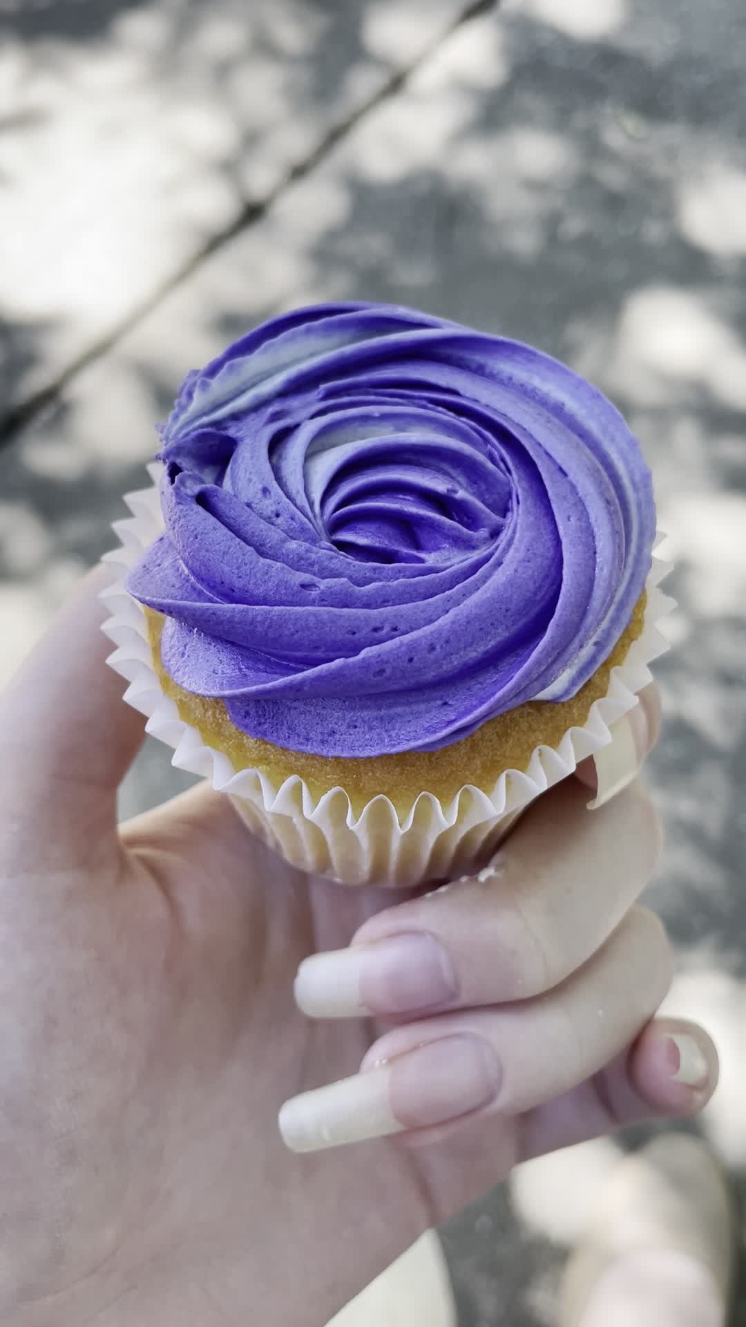 Video review of Publix