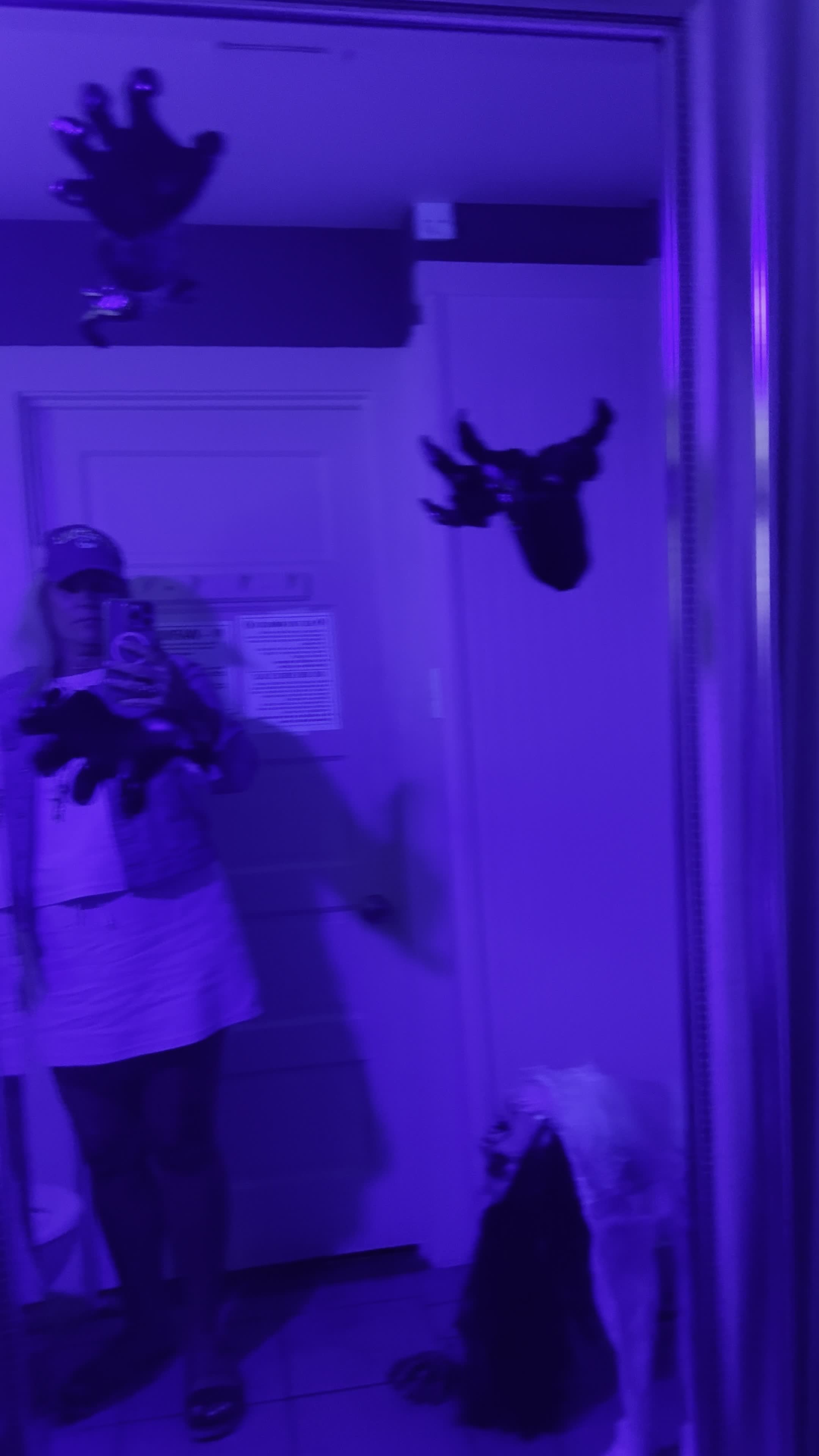 Pine Street Eats & Sweets