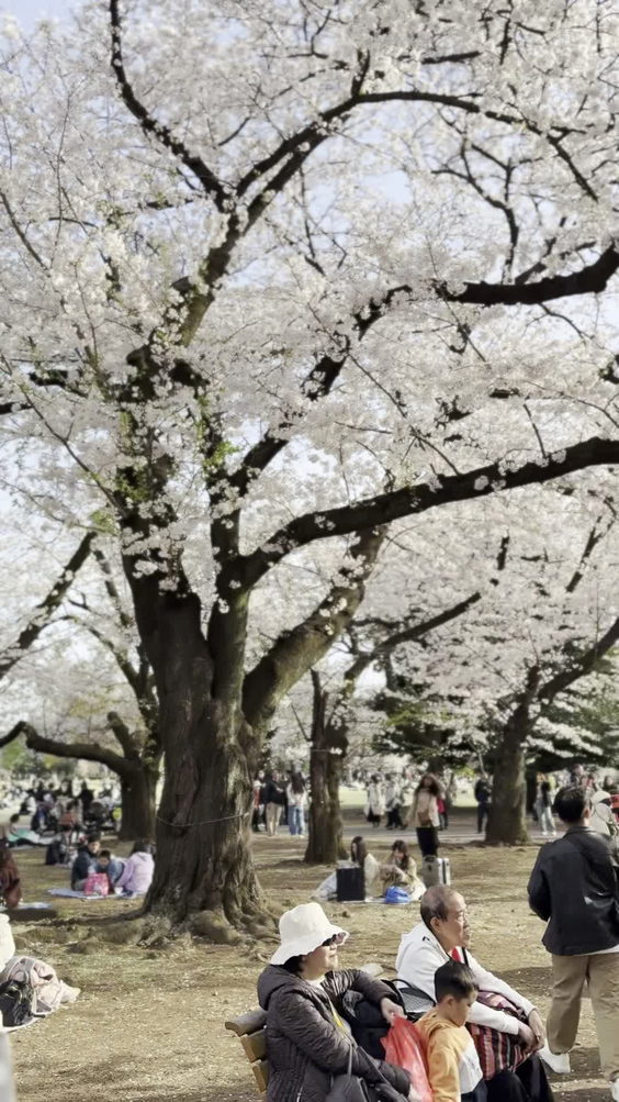 Shinjuku Gyoen National Garden