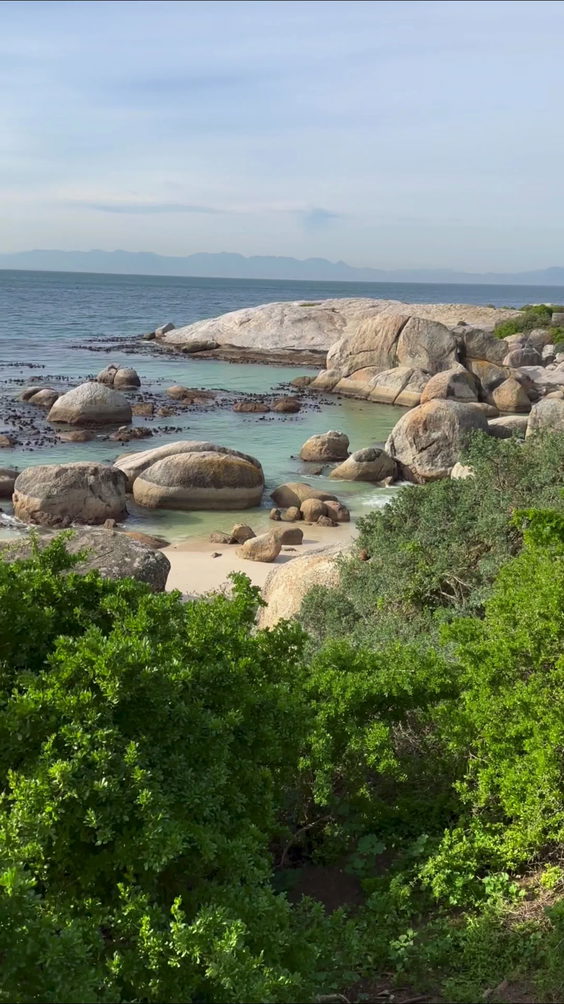 Boulders Beach Penguin Colony
