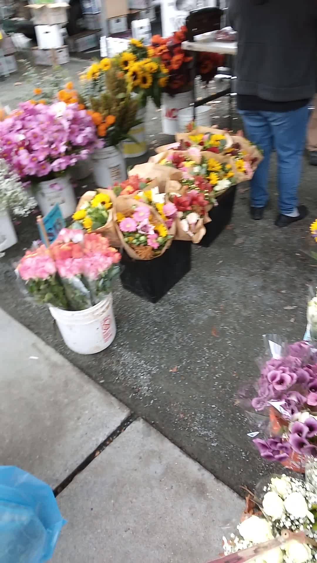 Video review of Todos Santos Plaza