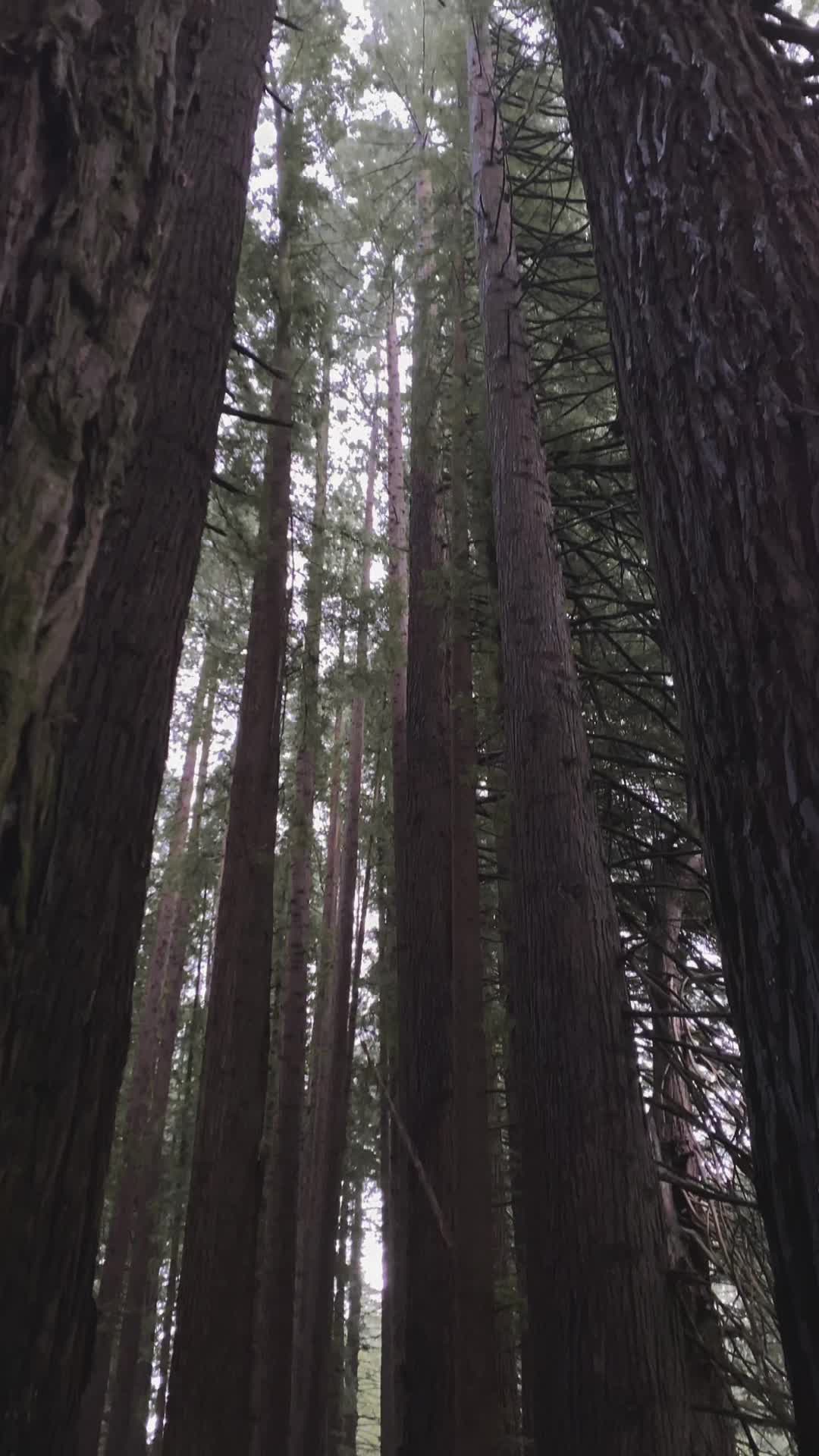 Great Otway National Park