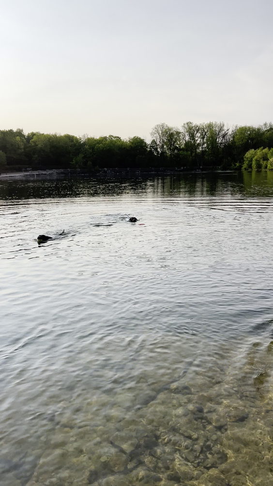 Menomonee Park