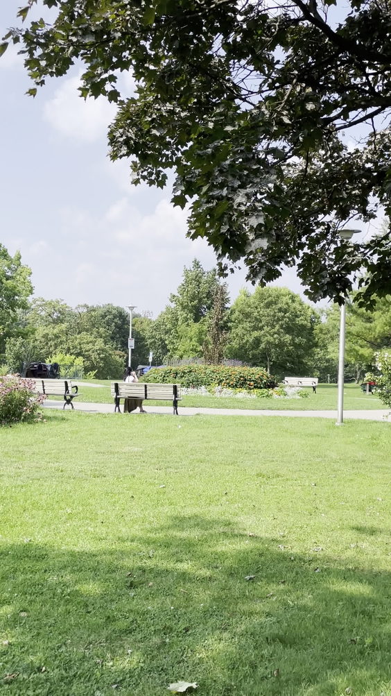 Christie Pits Park