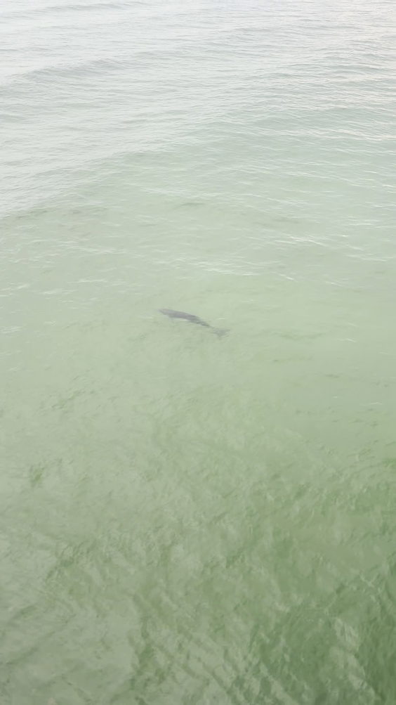 City Moment · Navarre Beach