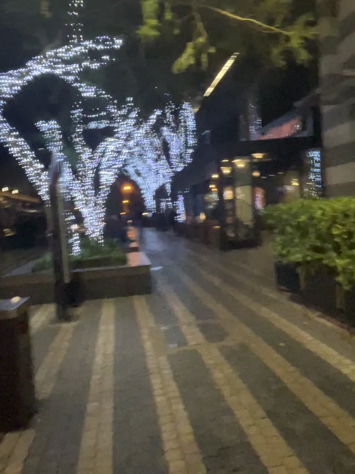 TheZone-Rosebank