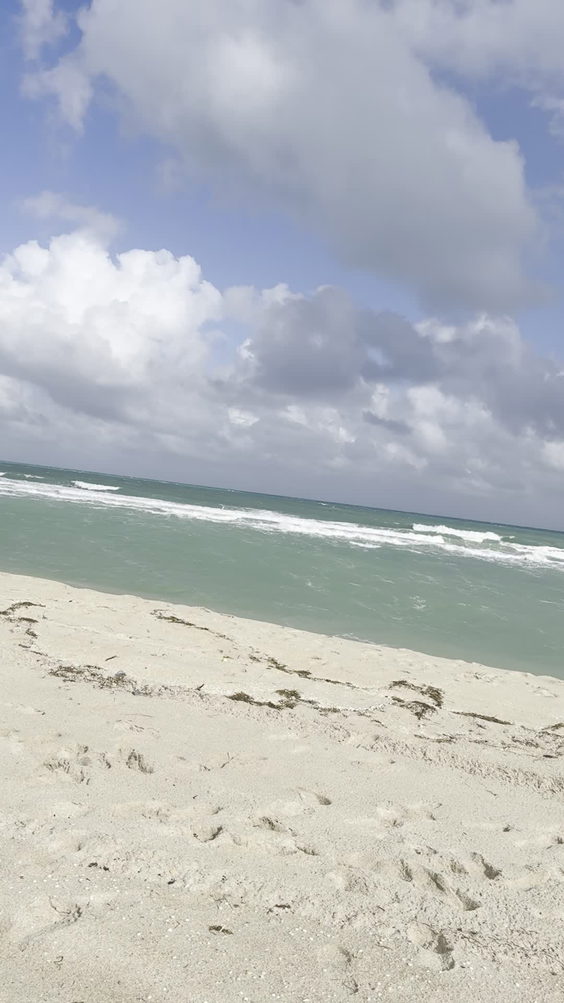 Haulover Beach
