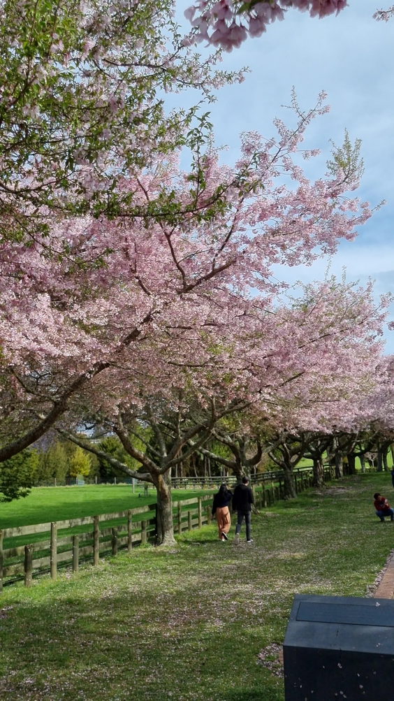 Centennial Park