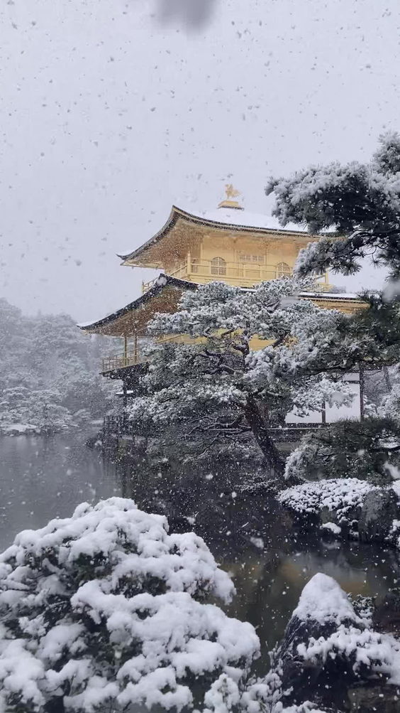 鹿苑寺 (金閣寺) (Kinkaku-Ji Temple)