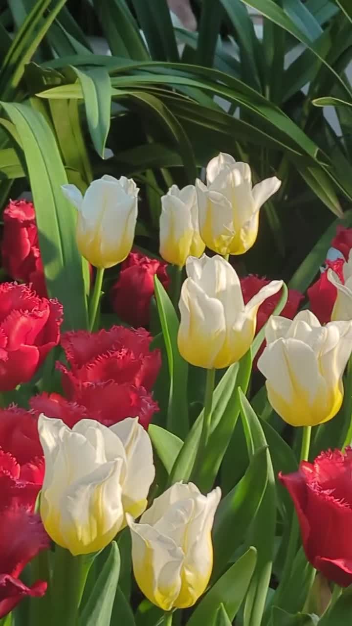 Flower Dome, Gardens by the Bay