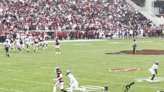 Donald W Reynolds Razorback Stadium