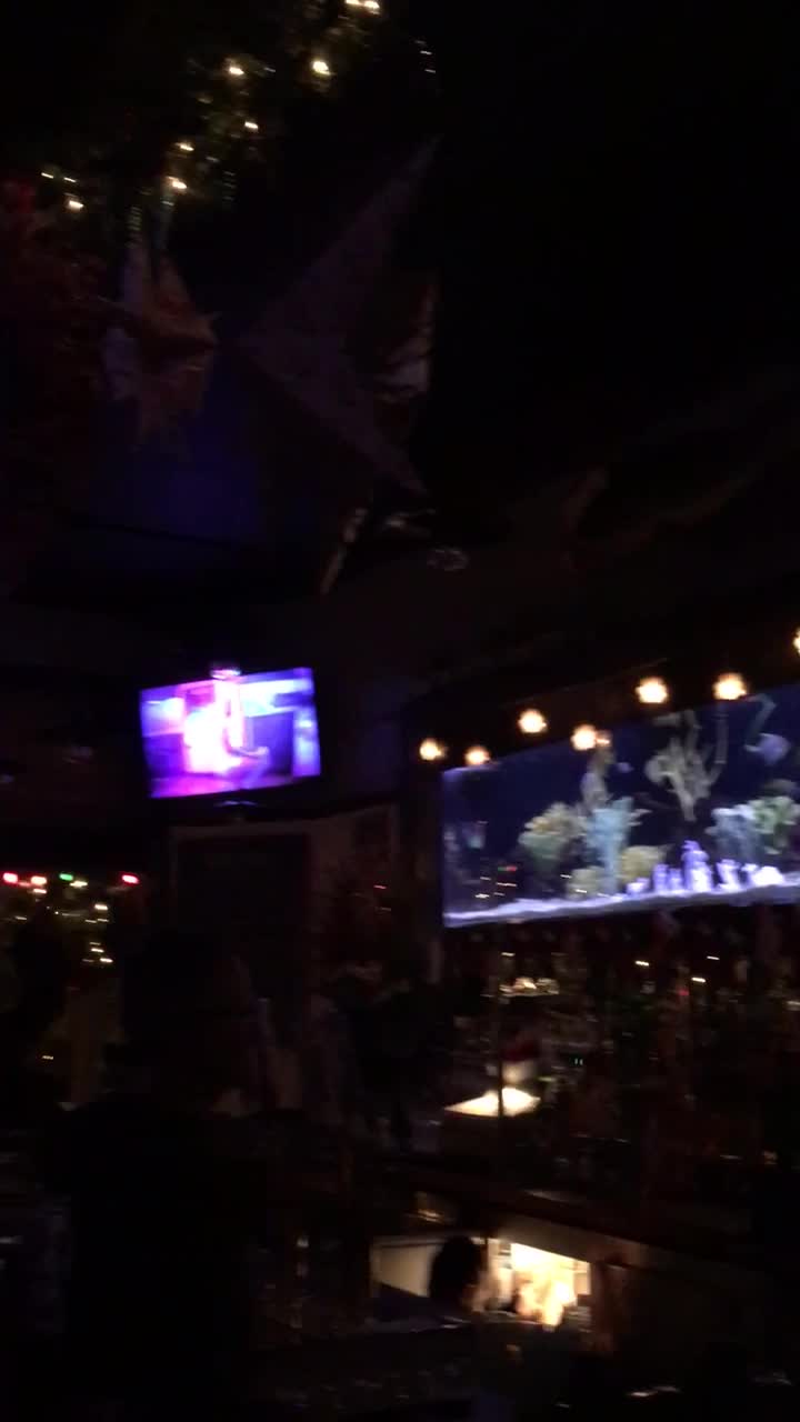 Video review of Moby Dick