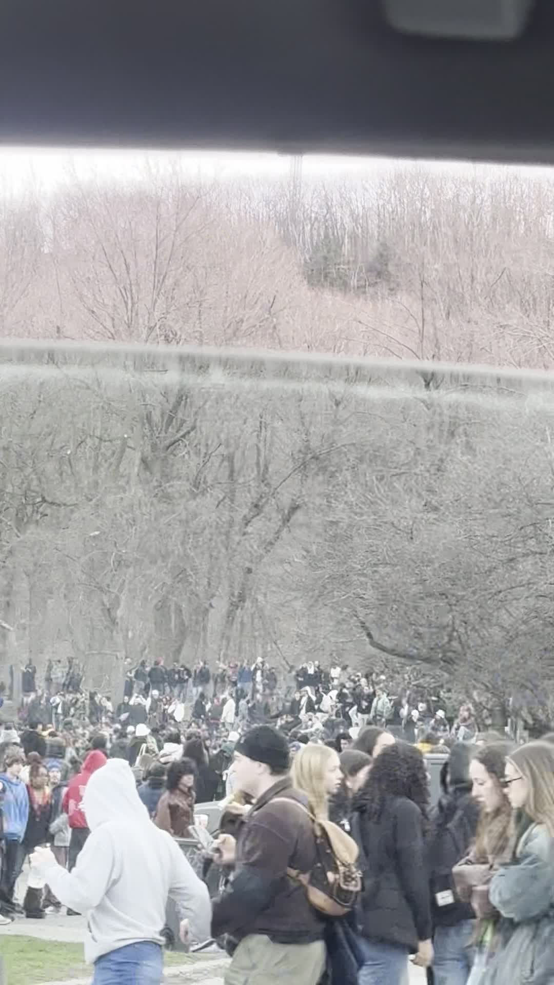 Video review of Mount Royal Park (Parc du Mont-Royal)