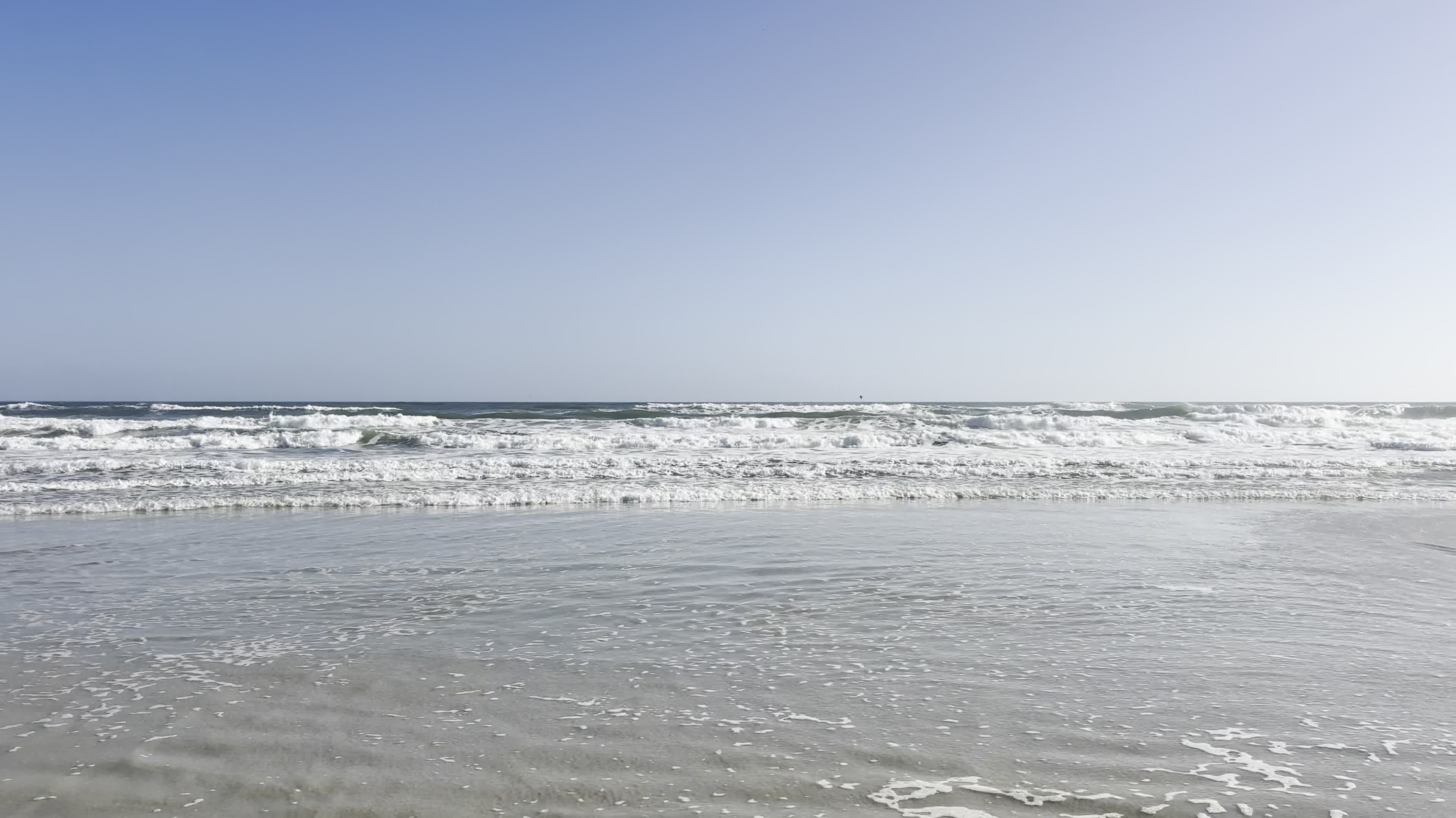 Video review of Adam's Egg