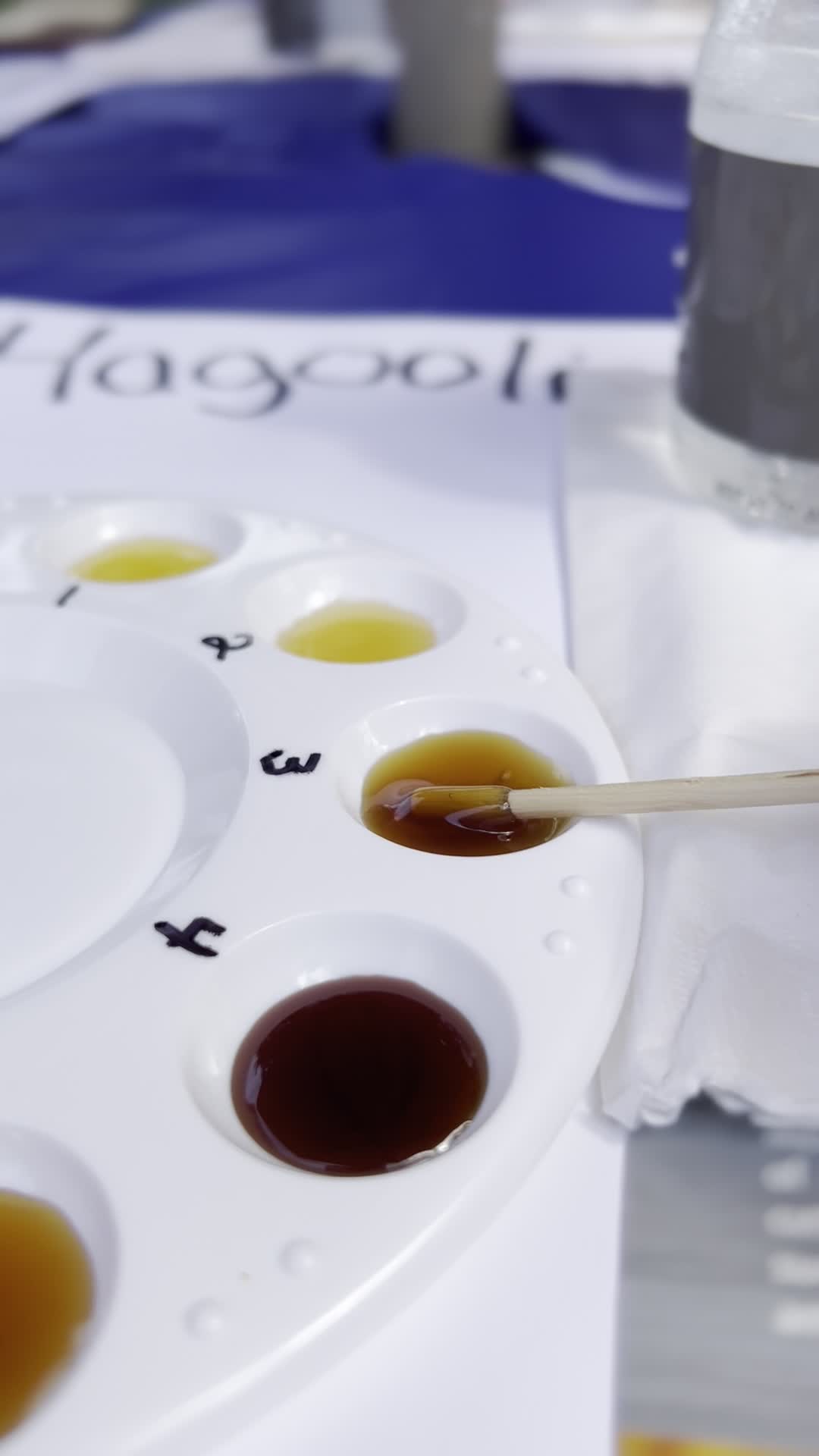 Marriott's Manor Club at Ford's Colony