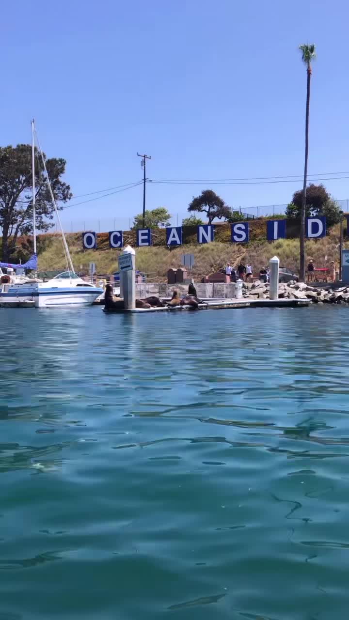 Oceanside Harbor Village