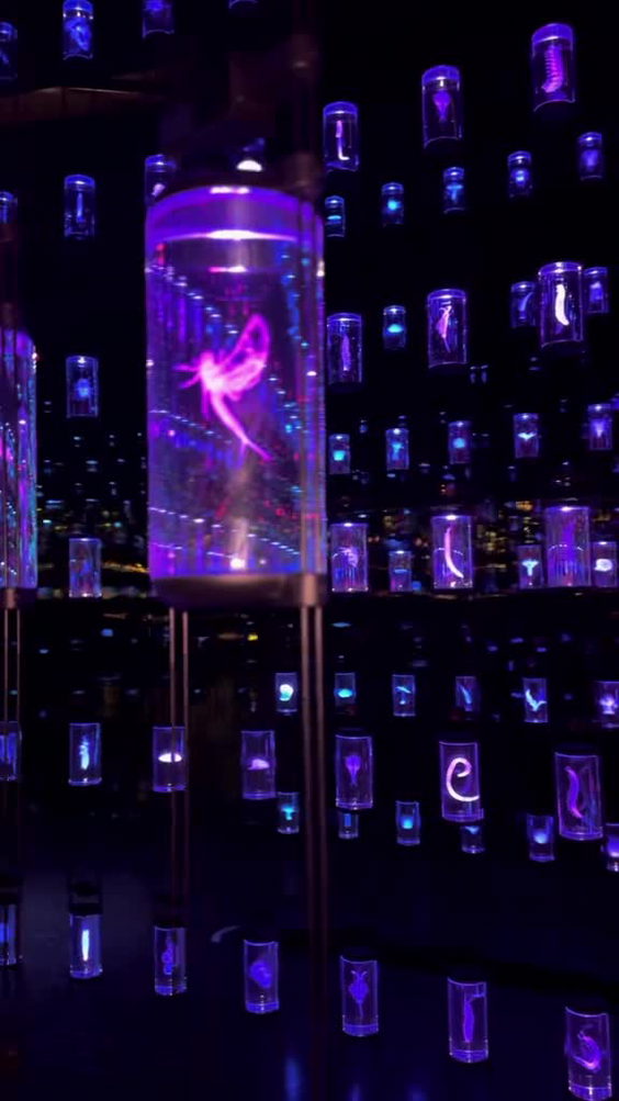 Museum of the Future (متحف المستقبل)