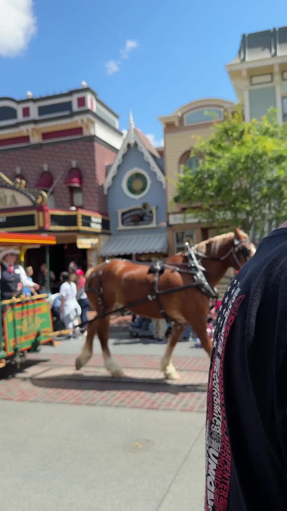 Disneyland 