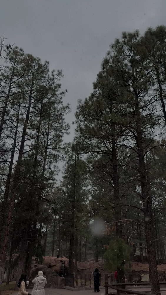 Bearizona