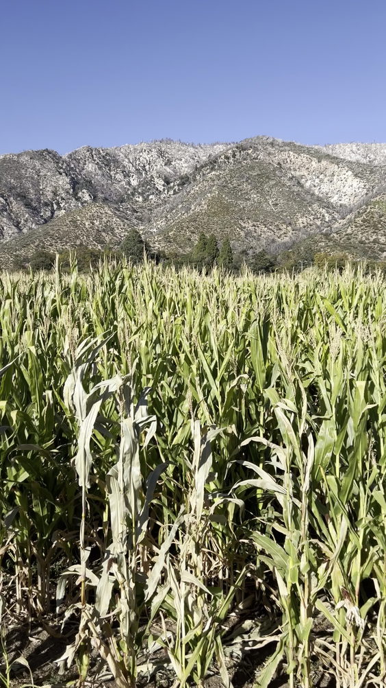 Los Rios Rancho