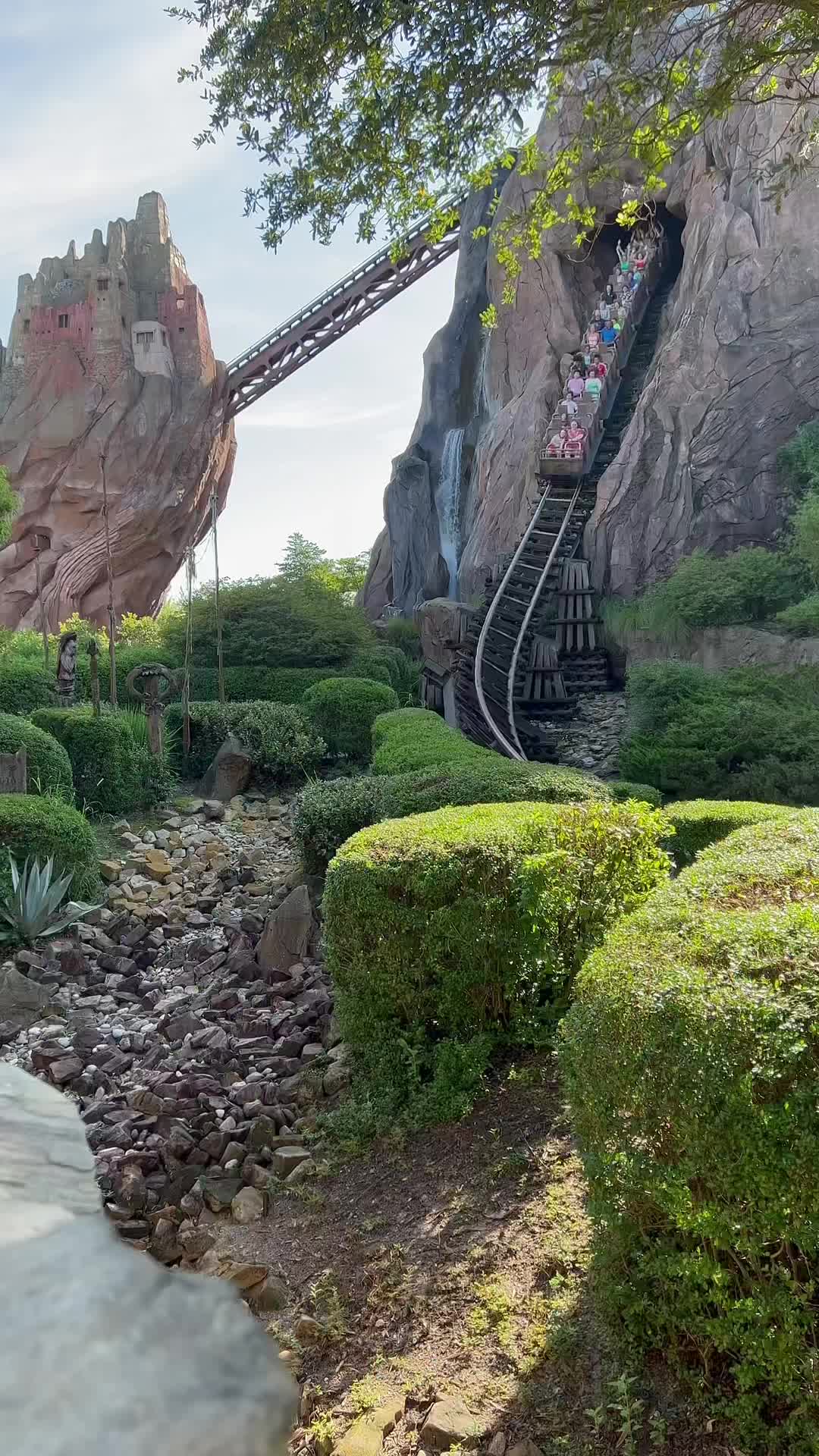 Disney's Animal Kingdom
