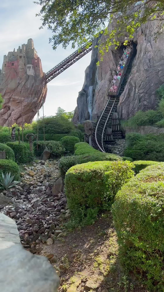 Disney's Animal Kingdom