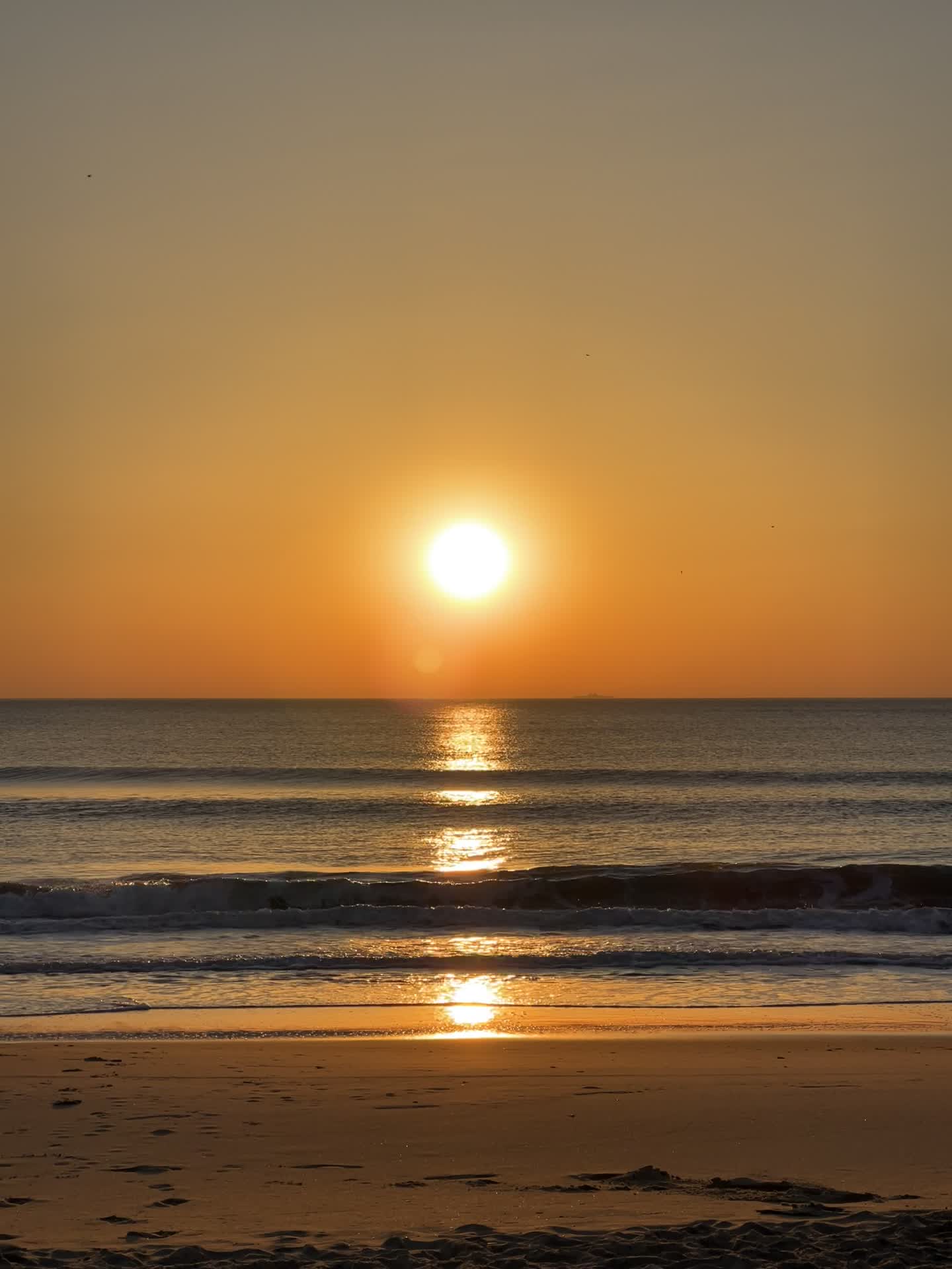 Video review of Neptune's Park