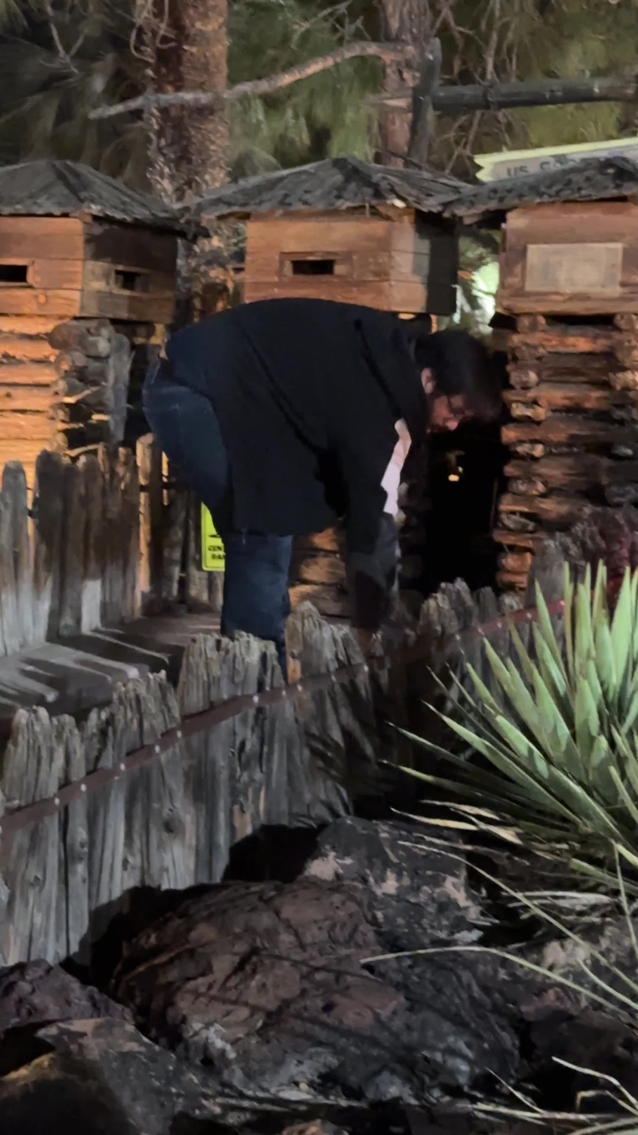 Video review of Castles N' Coasters