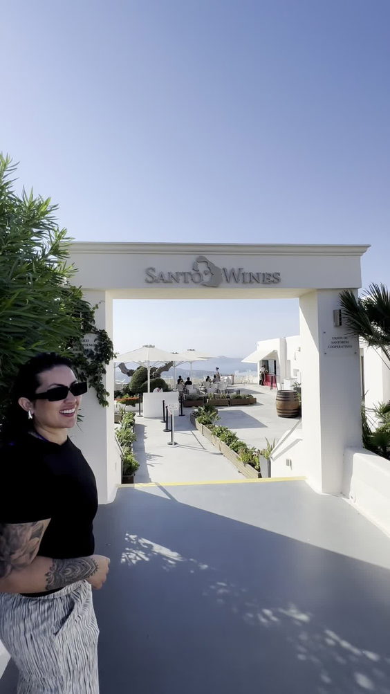 Santo Wines