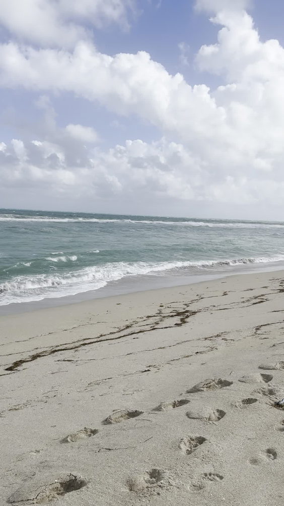 Haulover Beach