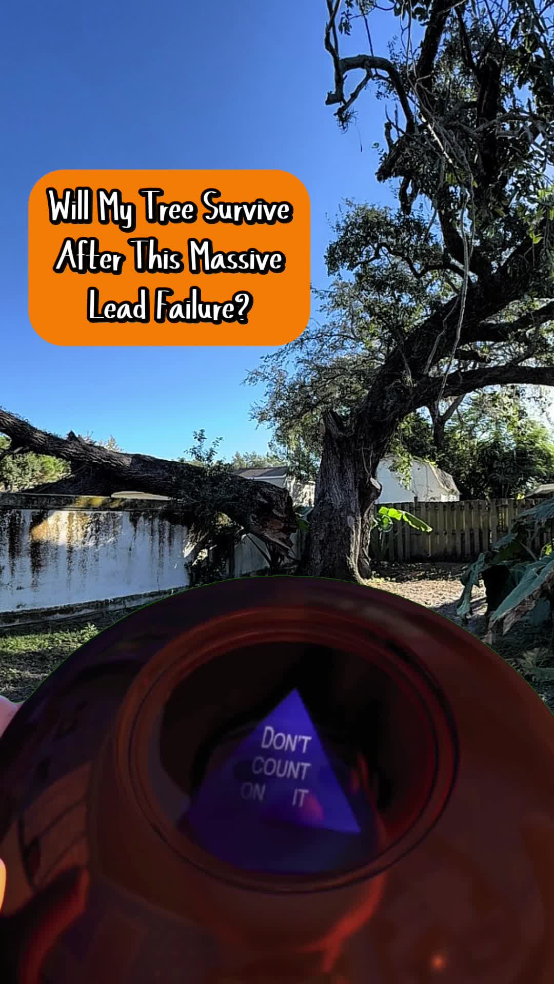 All Your Way Lawn, Tree, and Property Maintenance