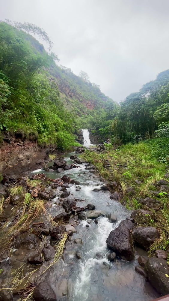 Waimea Arboretum and Botanical Garden