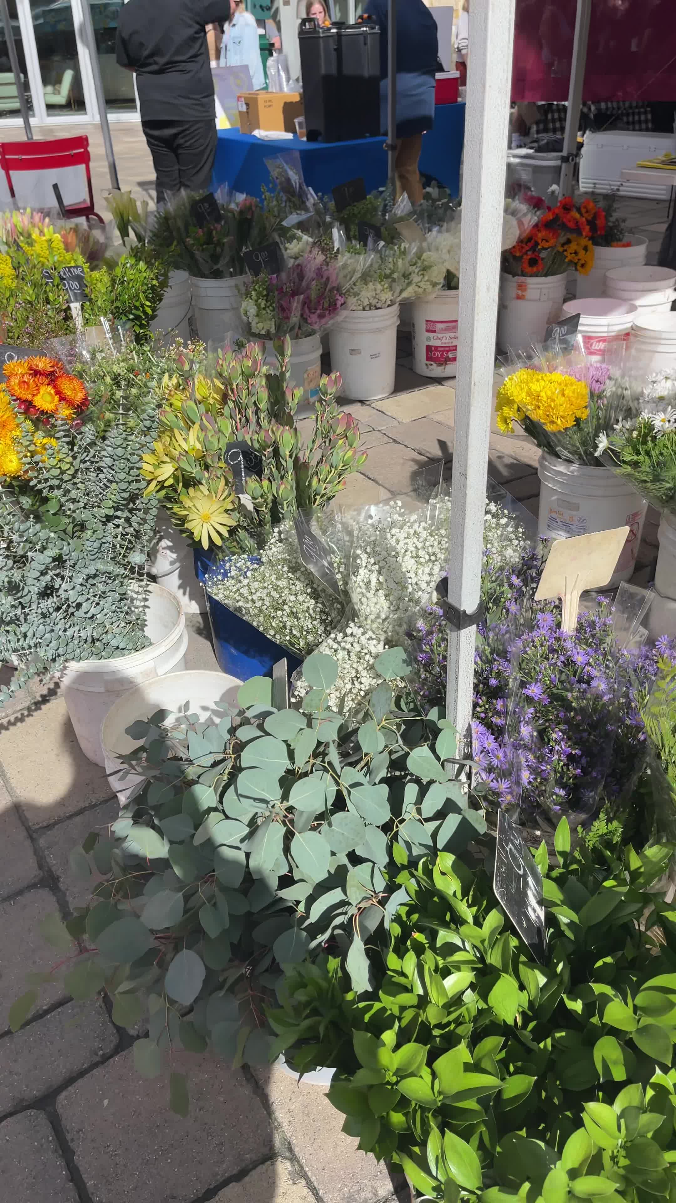 Little Italy Farmers Market