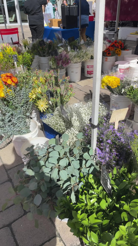 Little Italy Farmers Market