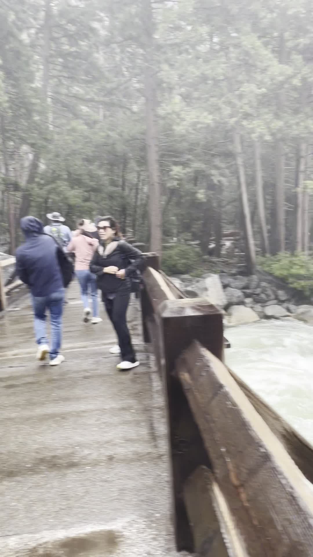Video review of Lower Yosemite Falls