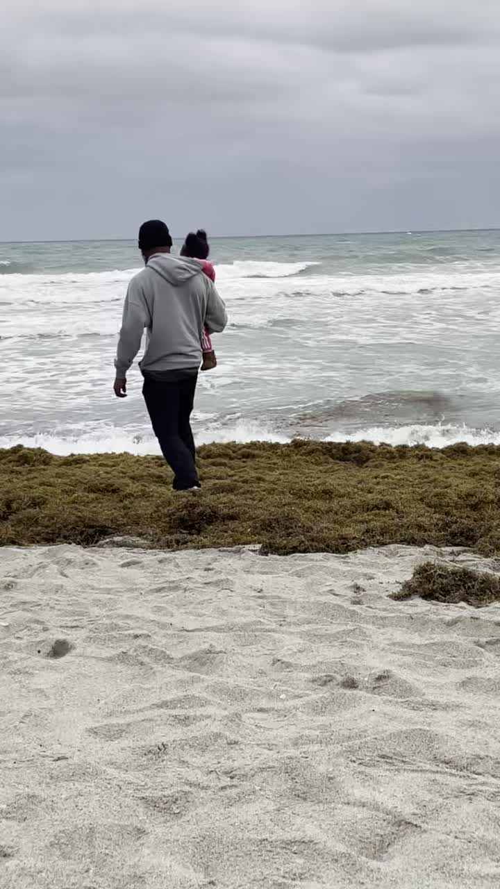 City Moment · Hollywood