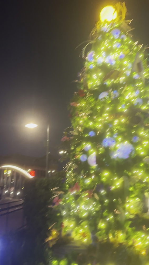 Disney Springs Bus Stop - Marketplace