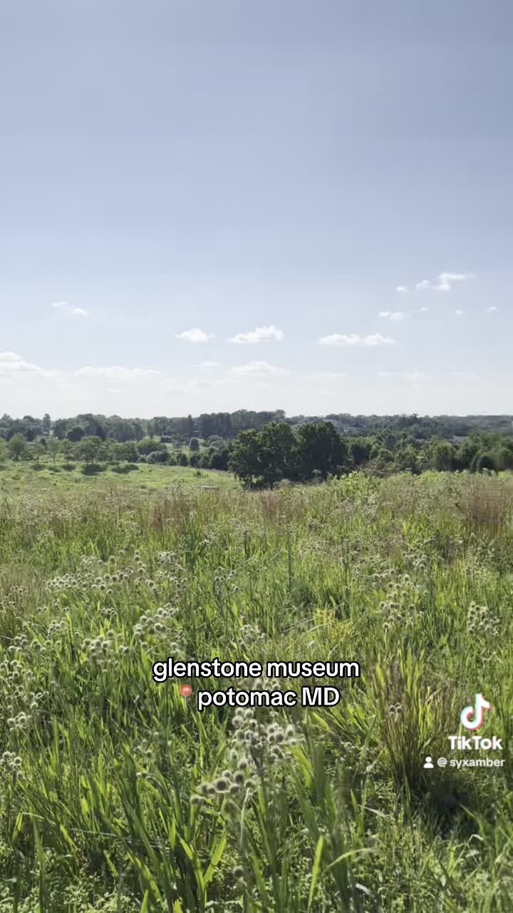 Glenstone Museum