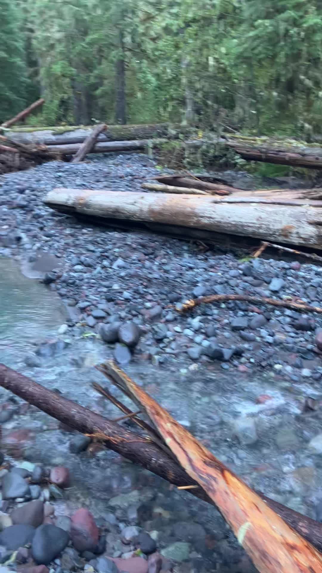 Mount Rainier National Park