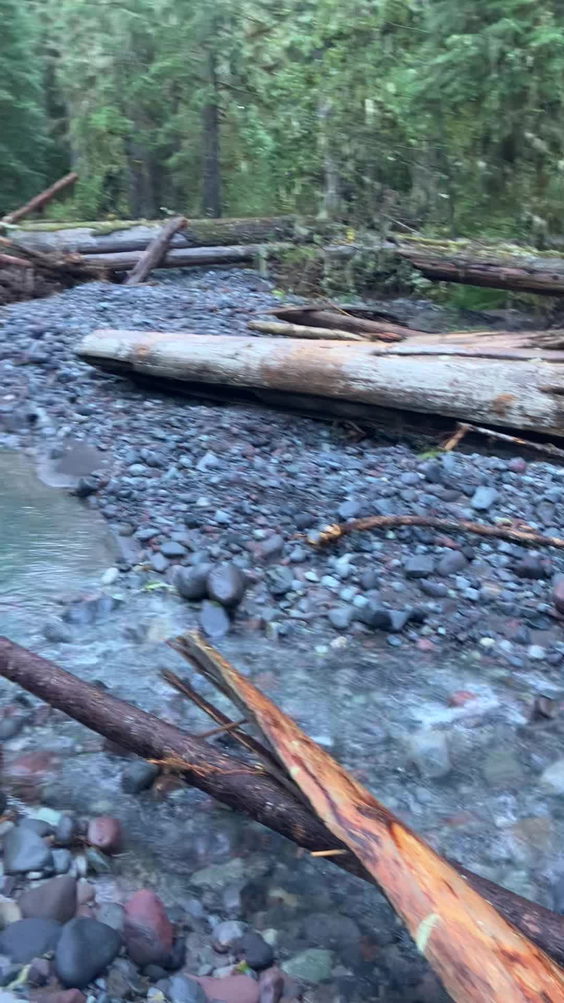 Mount Rainier National Park