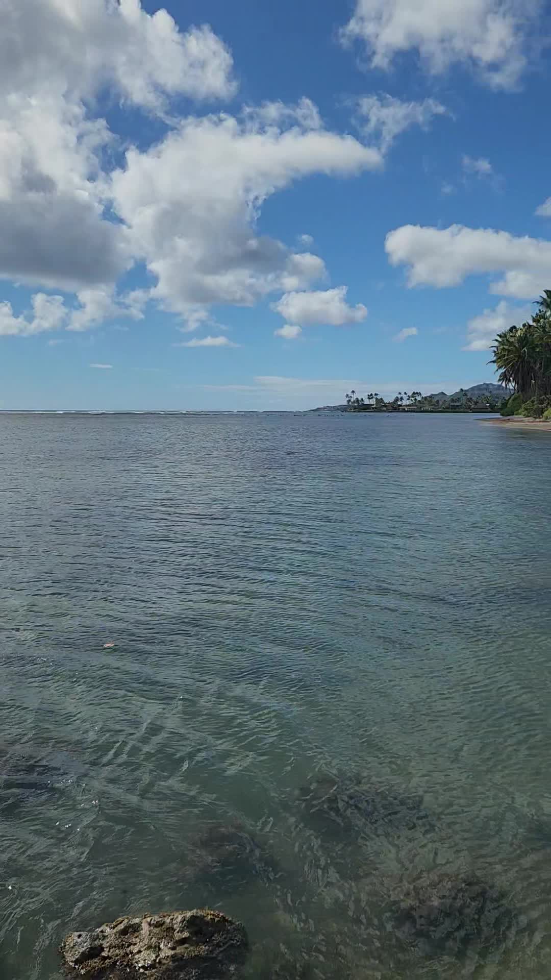 Video review of Kawaikui Beach Park