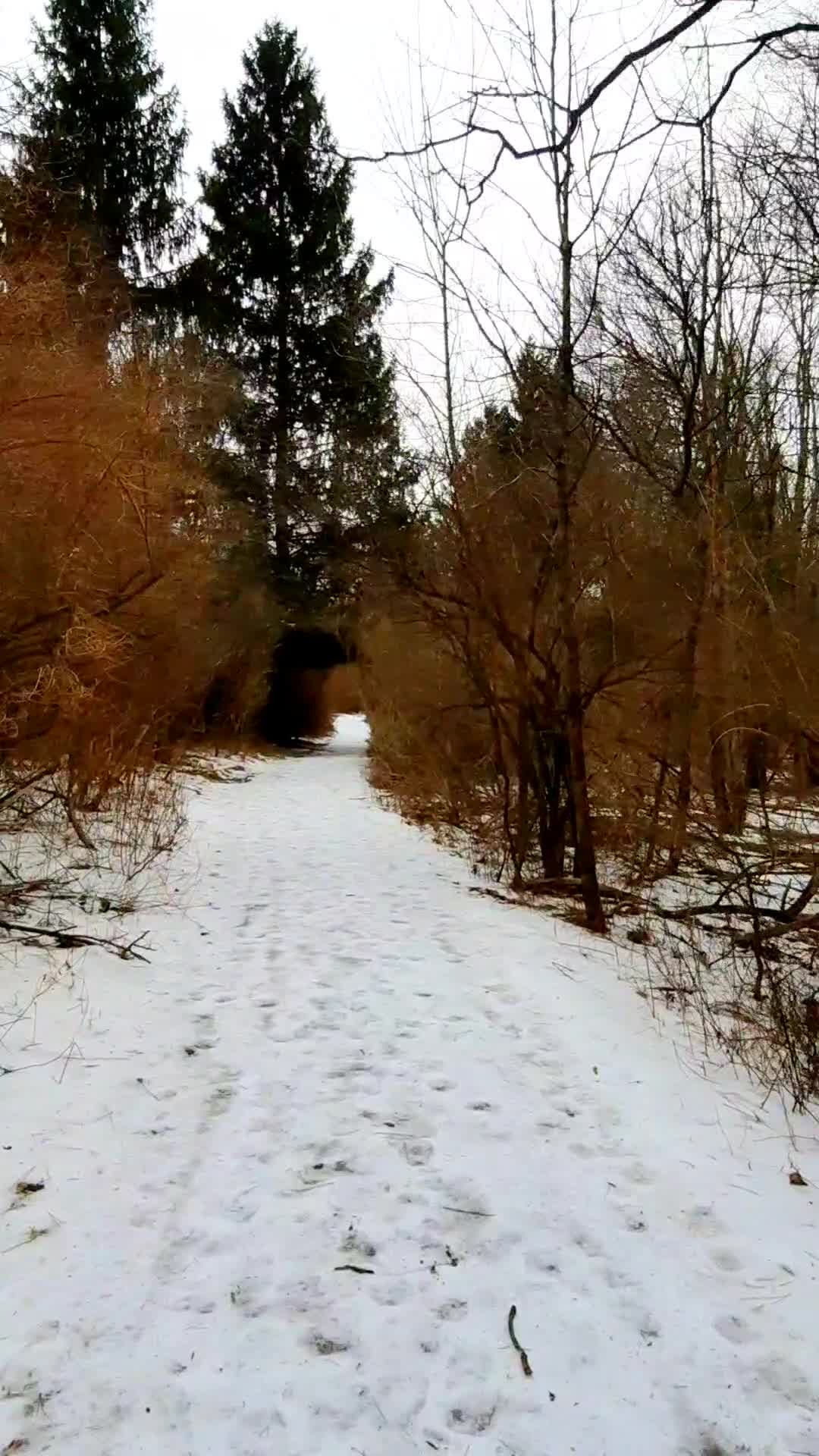 Nature Preserve