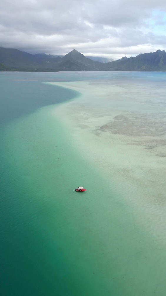 Kāneʻohe Sandbar