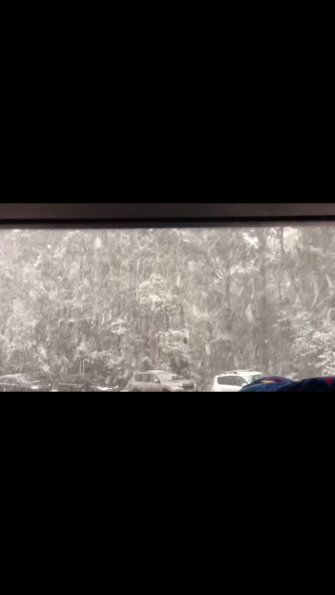 Mt Baw Baw