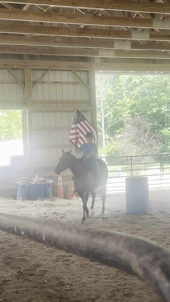 Morgan Stables